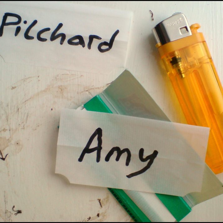 Pilchard - Amy - album artwork