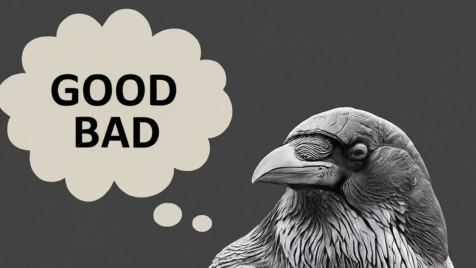 Do crows have morals?